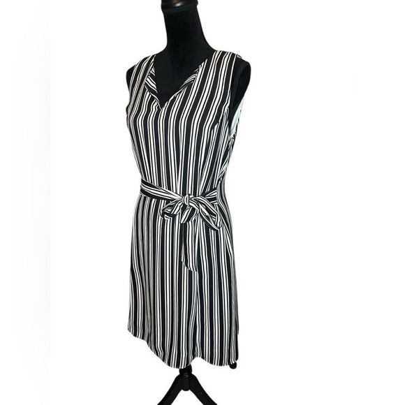 BANANA REPUBLIC STRIPED BLACK & WHITE SLEEVELESS ALINE DRESS WOMENS SIZE 10 - Picture 7 of 11
